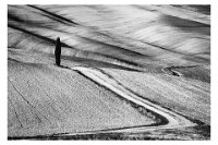 404 - SOLITUDE - FULCRAND JOELLE - france <div